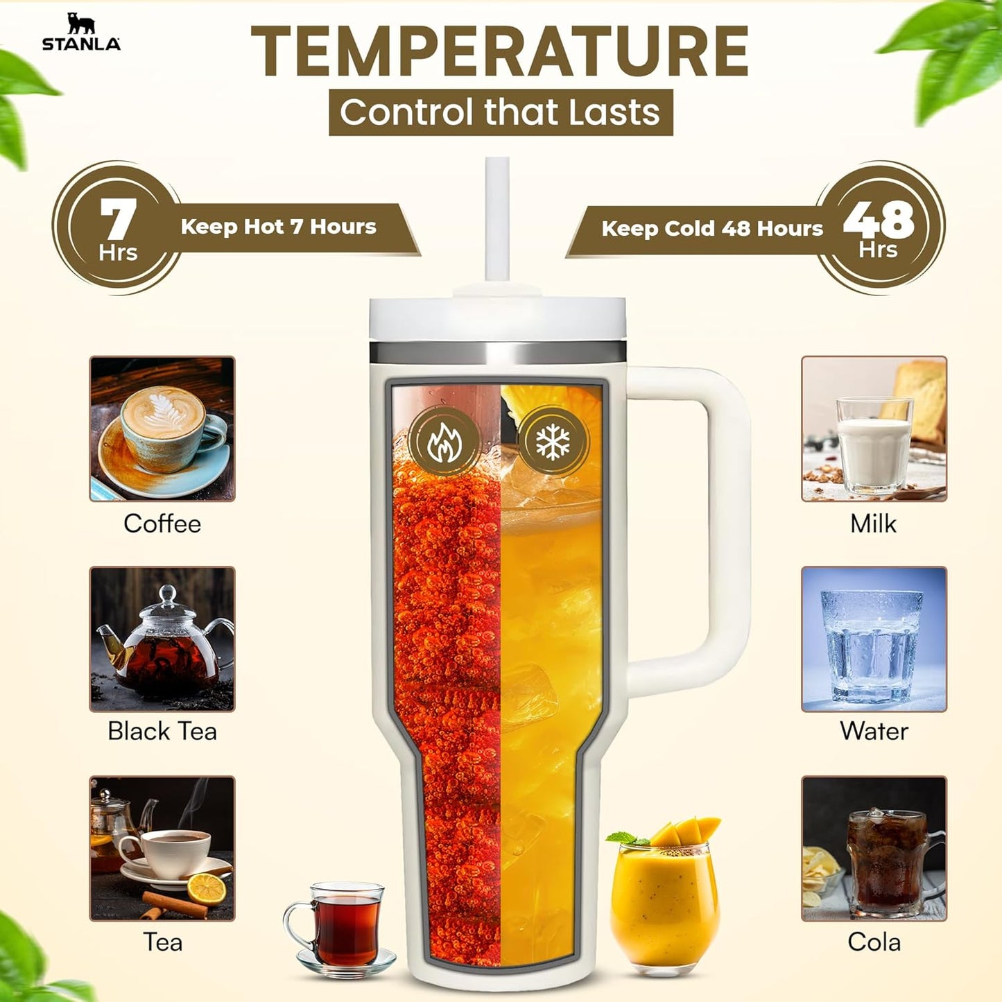 Stanley Quencher H2.0 FlowState Tumbler